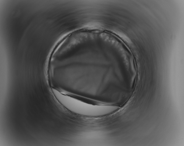 X0000094221248200711161842