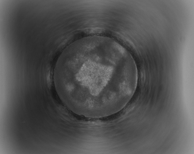 X0000094221250200711161842