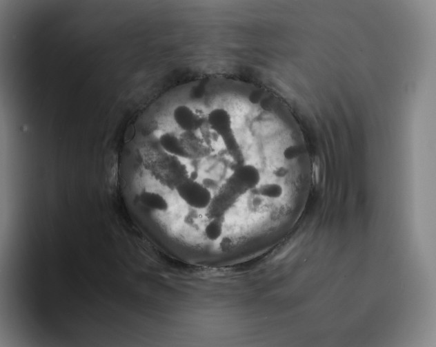 X0000094221251200711161842