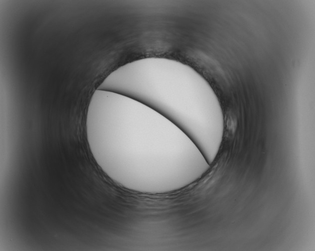 X0000094221252200711161842