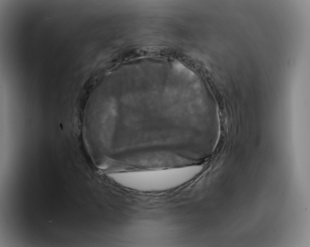 X0000094221253200711161842