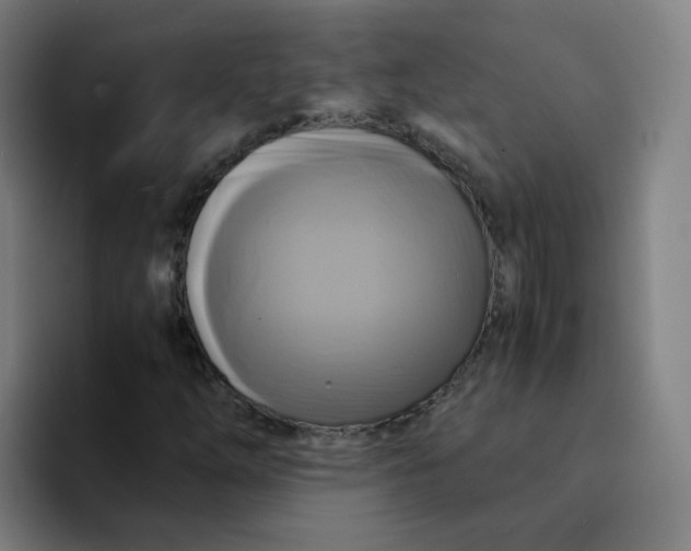 X0000094221254200711161842