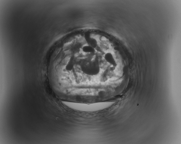 X0000094221255200711161842