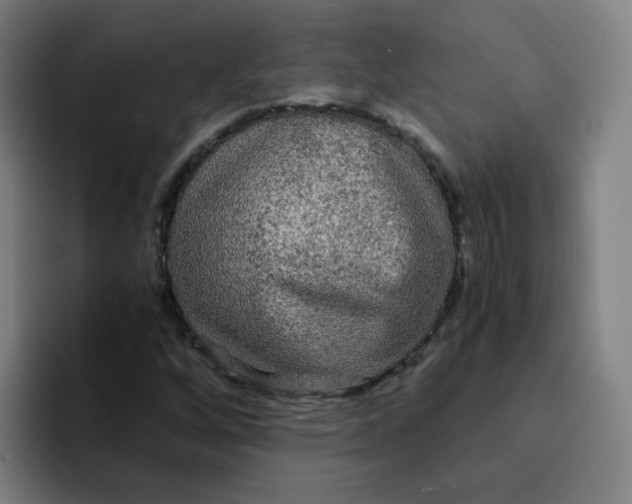 X0000094221256200711161842