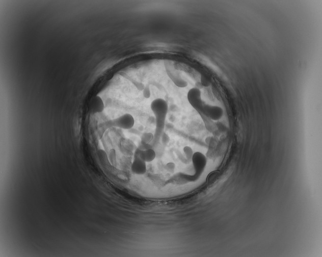 X0000094221259200711161842