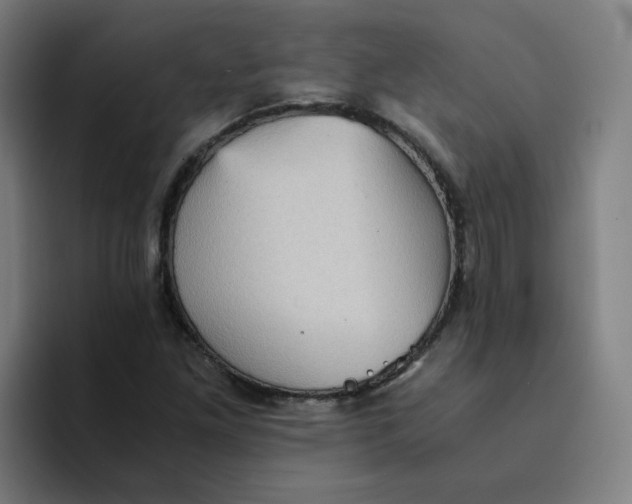 X0000094221261200711161842