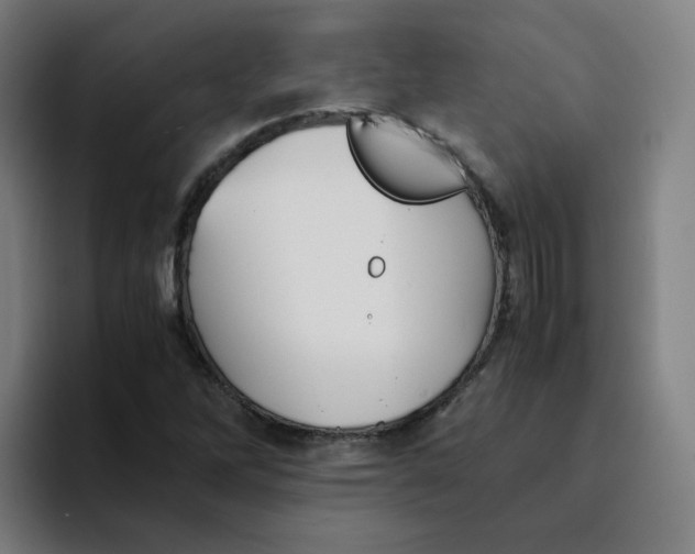 X0000094221262200711161842