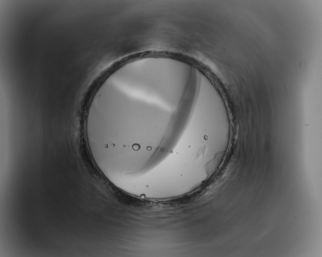 X0000094221263200711161842