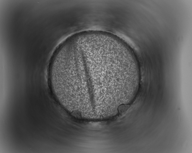 X0000094221264200711161842