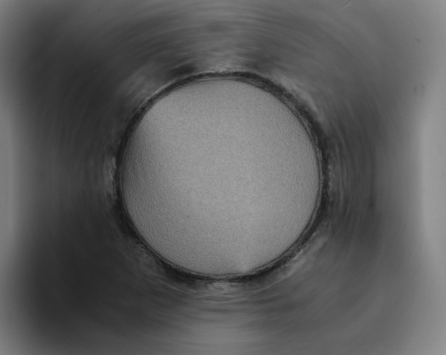 X0000094221265200711161842