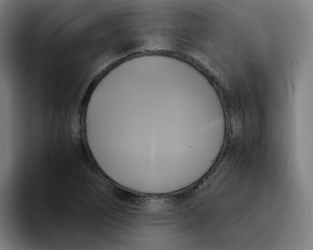 X0000094221266200711161842