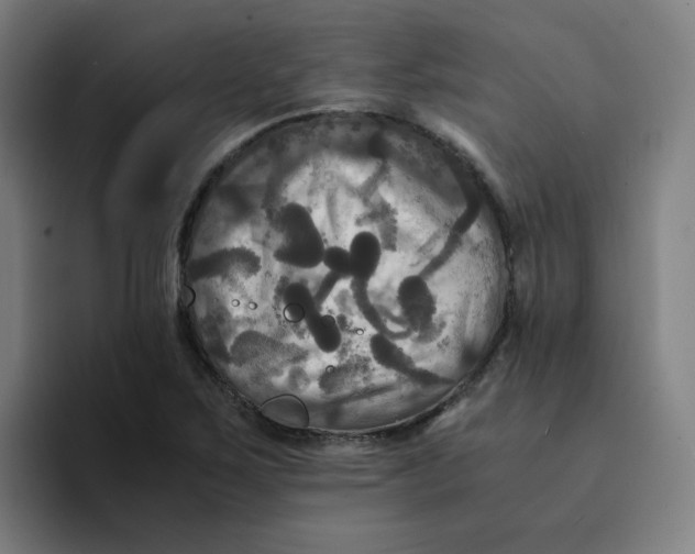 X0000094221267200711161842