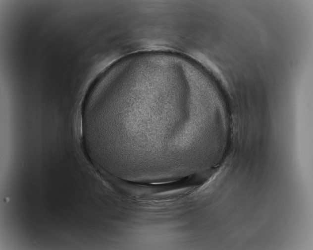 X0000094221269200711161842