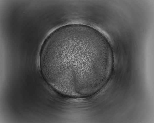 X0000094221272200711161841