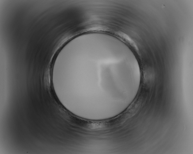 X0000094221274200711161841