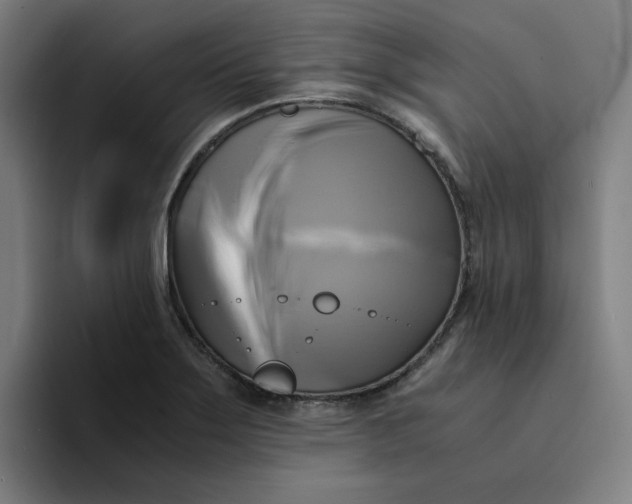 X0000094221275200711161841