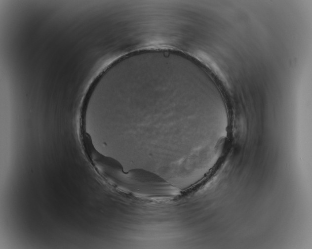 X0000094221277200711161841