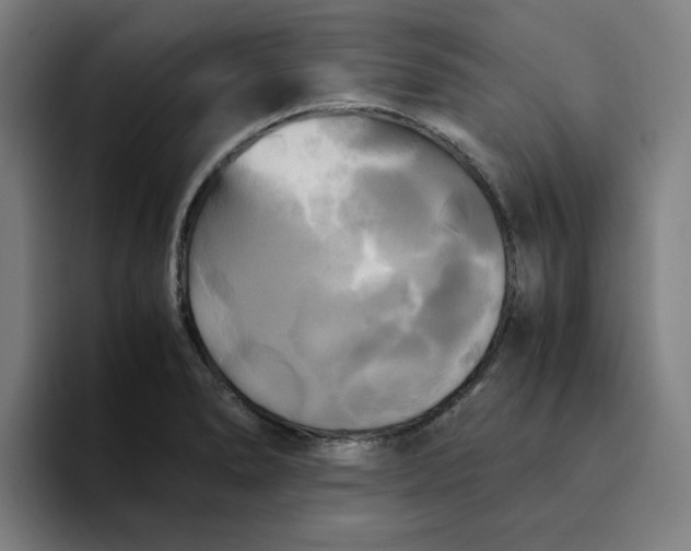 X0000094221278200711161841