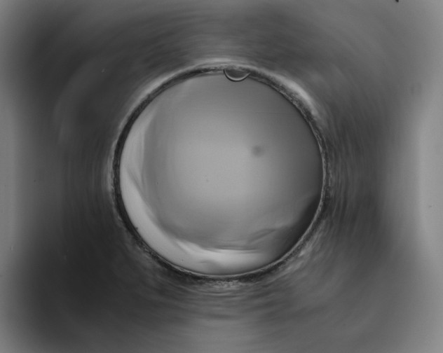 X0000094221279200711161841