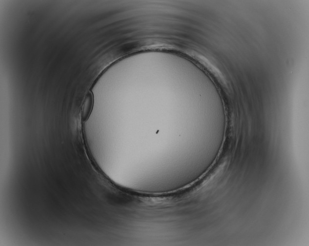 X0000094221281200711161841