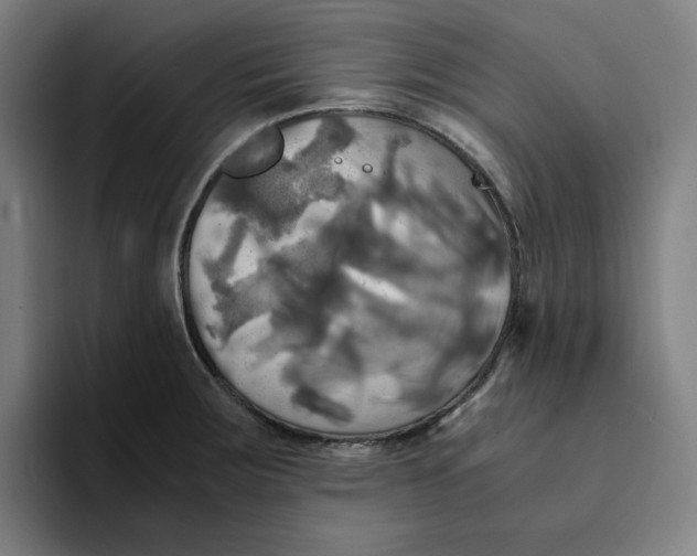 X0000094221283200711161841