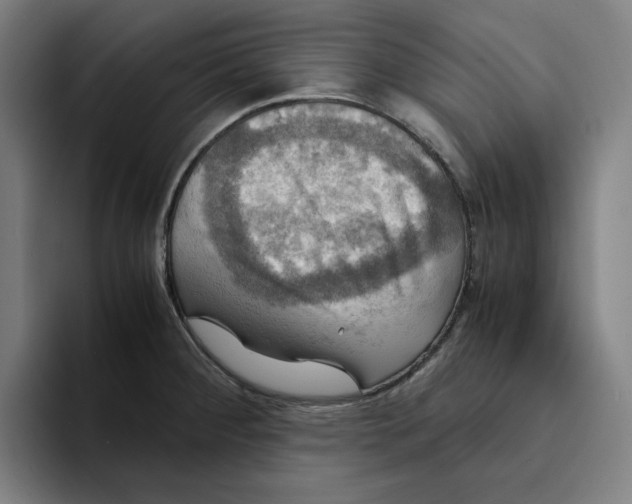 X0000094221284200711161841