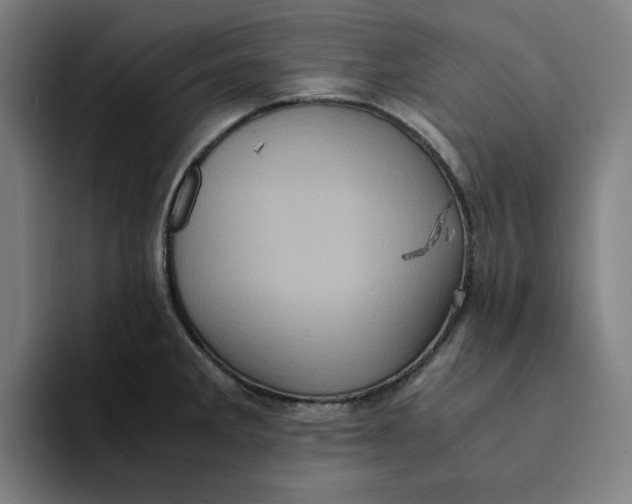 X0000094221285200711161841