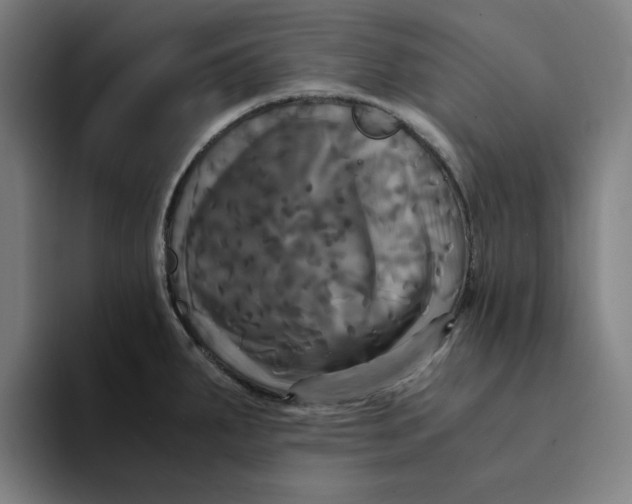 X0000094221287200711161841