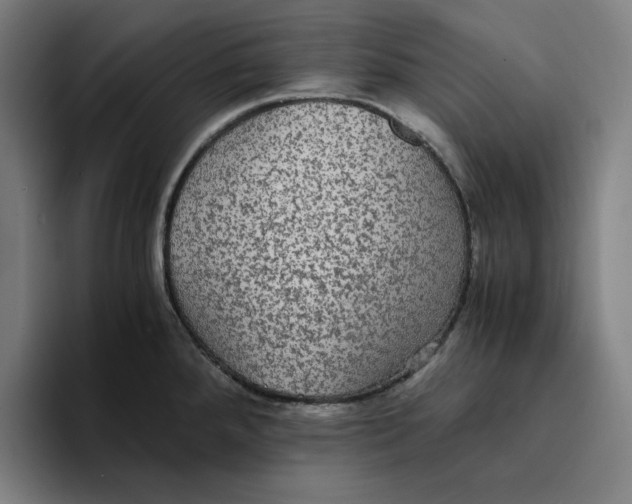 X0000094221288200711161841