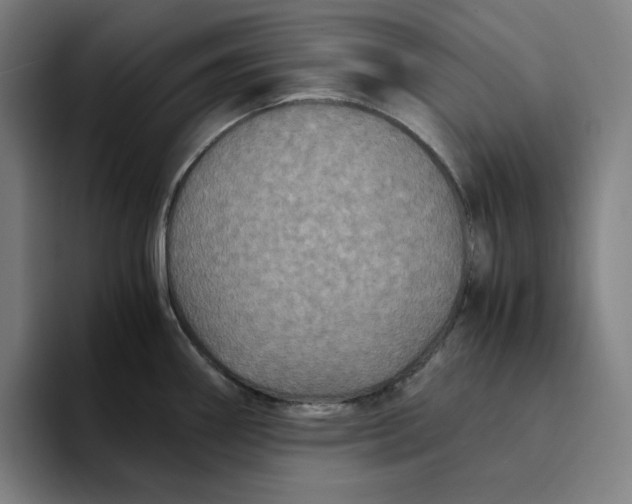 X0000094221290200711161841