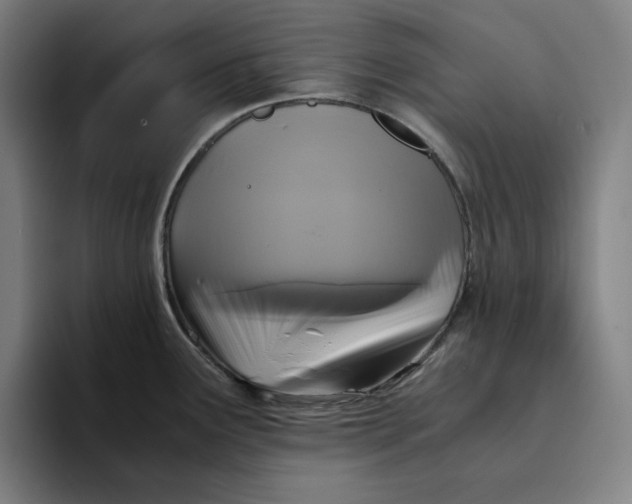 X0000094221291200711161841