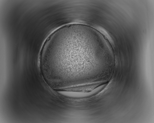 X0000094221292200711161841