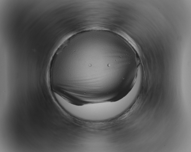 X0000094221293200711161841