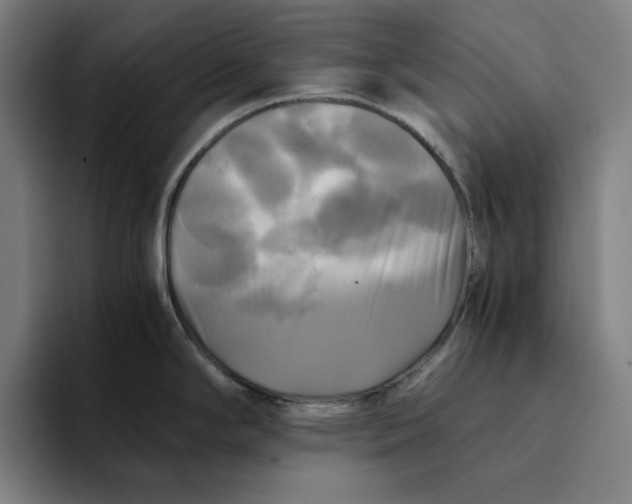 X0000094221294200711161841