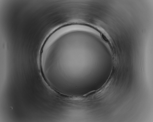 X0000094221295200711161841