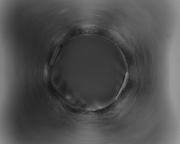 X0000094221298200711161841