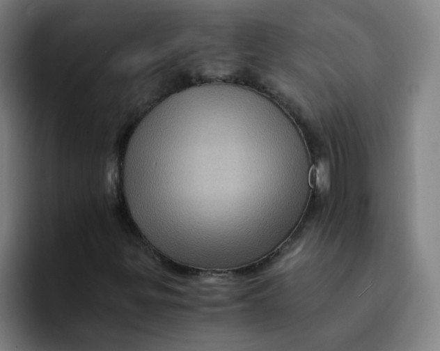 X0000094221299200711161841