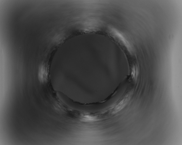 X0000094221300200711161841