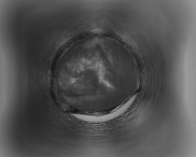 X0000094221301200711161841