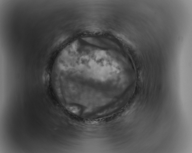 X0000094221302200711161841