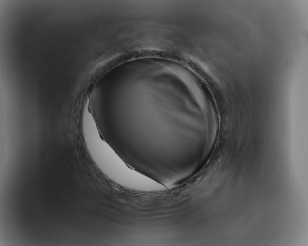 X0000094221303200711161841