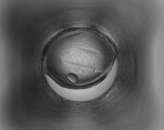 X0000094221304200711161841