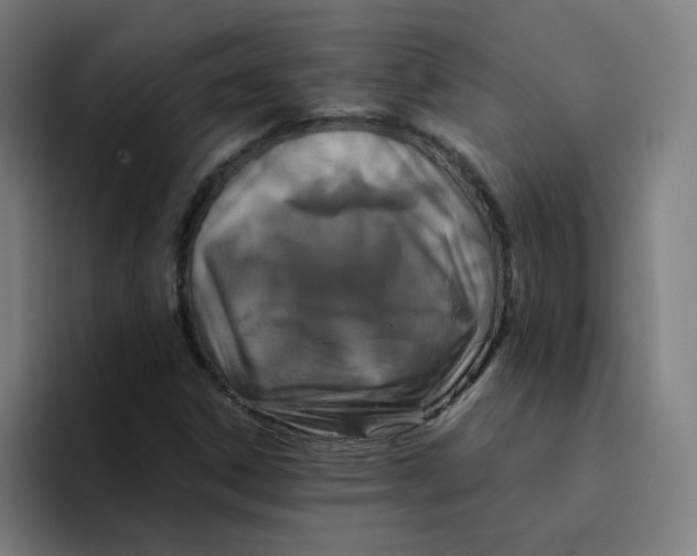 X0000094221306200711161841