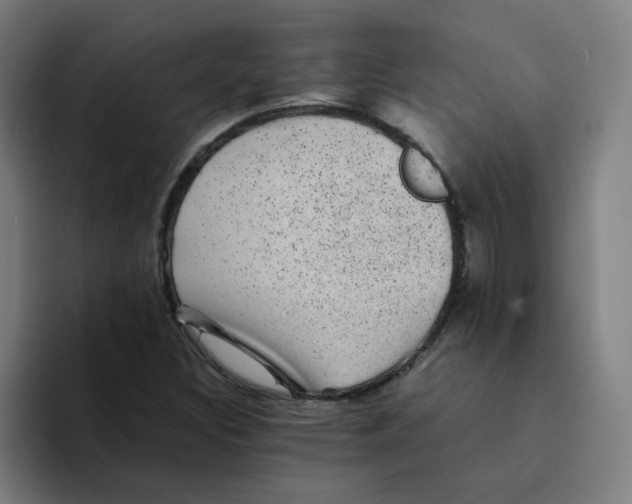 X0000094221308200711161841