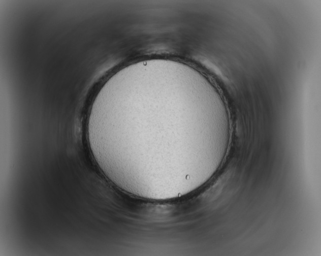 X0000094221309200711161841