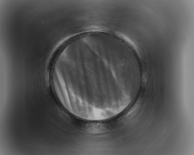 X0000094221310200711161841