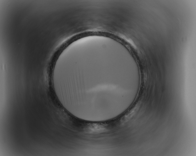 X0000094221311200711161841