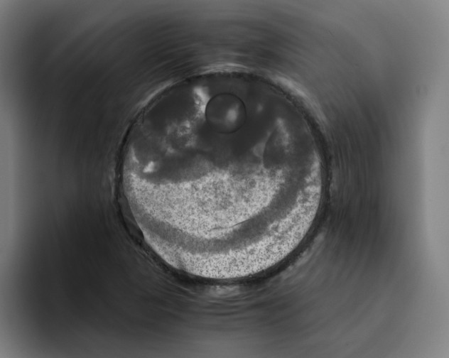 X0000094221313200711161841