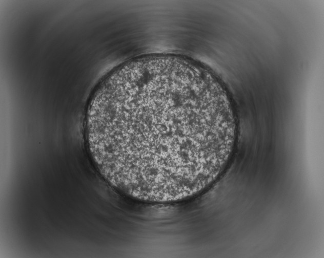 X0000094221314200711161841