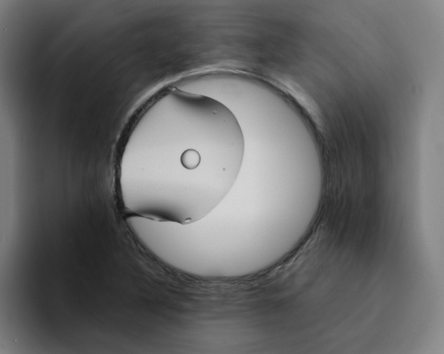 X0000094221316200711161841